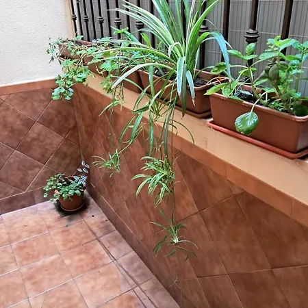 La Reina Apartment